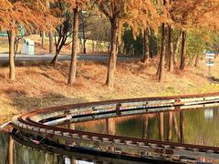 -水月周庄铂尔曼酒店-水月荟中餐厅