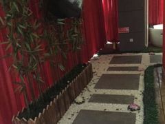 -天鹅恋