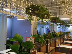-京城·森鸽排档(双井店)