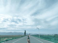 -敕勒川草原