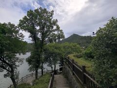 -玉苍山国家森林公园