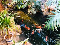 -聚缘堂·海鲜私房菜(松岭路店)