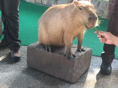 -河川生态园