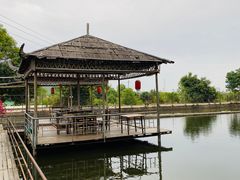 -水库河鲜村