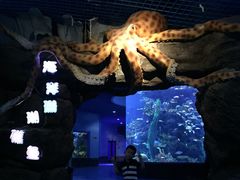 -多彩贵州城极地海洋世界