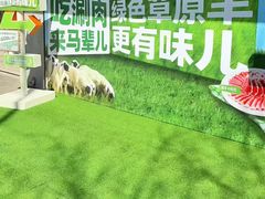 -牛街·马辈儿涮肉(牛街总店)