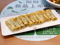 风味锅贴-阳阳中国饭(北京荟聚店)