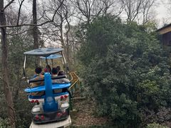 -杭州少年儿童公园