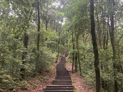 -西湖风景区十里琅珰-五云山