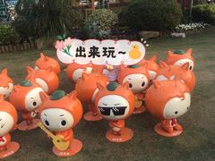 -上海长兴岛郊野公园