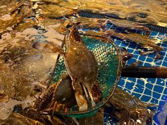 -驻海渔市(置信店)