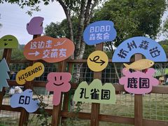 -杭州开元森泊度假乐园