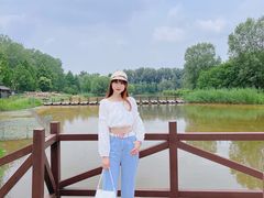 -东郊湿地公园