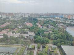 -上海浦东康桥绿地假日酒店