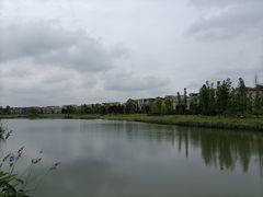 -两河城市森林公园