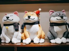 -逗柴咖啡屋·狗咖猫咖宠物桌游