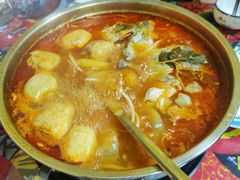-弘烨 贵州酸汤 鱼火锅(东财店)