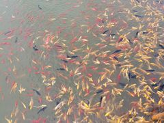 -海上明珠主题乐园