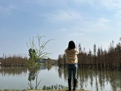 -白鹭湾湿地公园