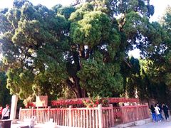 -四门塔风景区