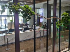 -星河湾温泉洗浴酒店