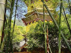 -阿育王寺