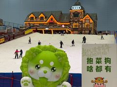 -广州热雪奇迹