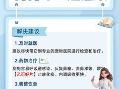 -北京派仕佳德动物医院·超导核磁·CT·神经科·骨科·内外科·急重症管理中心