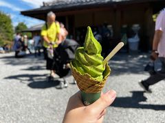 -豆政(金閣寺境内売店)