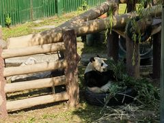 -沈阳森林动物园