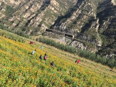 -十渡东湖港风景区