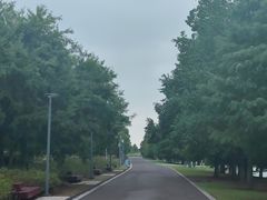 -苏州东太湖生态园