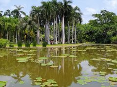 -中国科学院西双版纳热带植物园