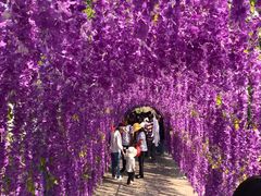 -山叶口景区