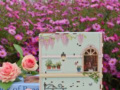 -麦当劳(东直门外大街店)