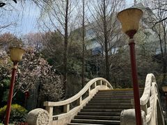 -西安曲江寒窑遗址公园