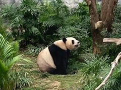 -石排湾郊野公园