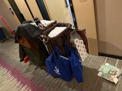 -麗枫(广州番禺长隆南村万博地铁站店)