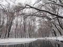 -长白岛森林公园