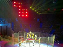 -珠海横琴长隆《卡卡虎奇遇记》