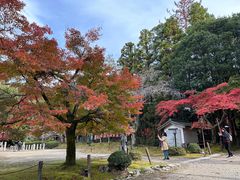 -醍醐寺
