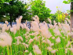 -青龙湖公园