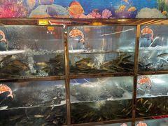 -三道苗苗鱼·美蛙黄辣丁(八里店)