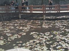 -终南山南五台景区