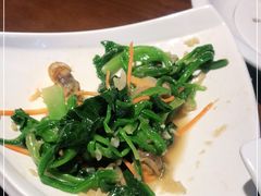 -前海沿·青岛菜(李沧万达店)