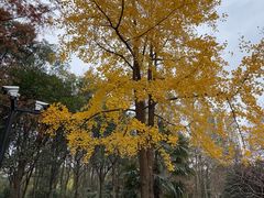 -苏州河梦清园环保主题公园