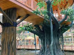 -南宫五洲植物乐园