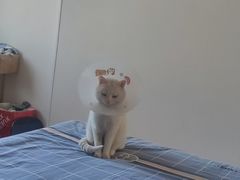 -达爱动物医院·犬猫分区·CT·复杂眼科(远洋山水分院)