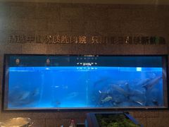 -淘米捞·米汤脆鲩鱼火锅(福田皇岗店)