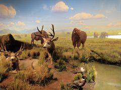 -陕西自然博物馆